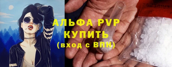 apvp Богородск