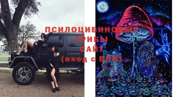 стаф Белоозёрский