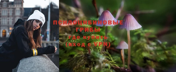 кокаин Белокуриха
