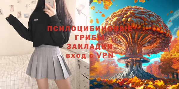 кокаин Белокуриха