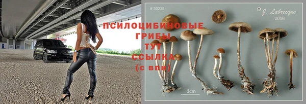 спайс Беломорск